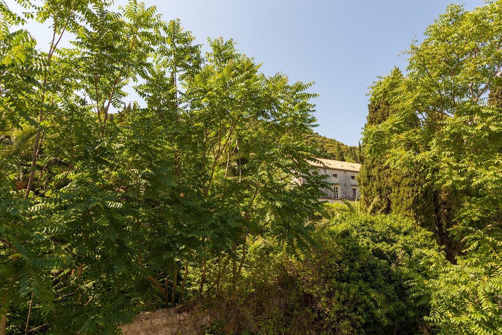 Apartment Luki ドゥブロブニク エクステリア 写真